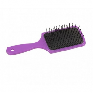 ESCOVA CABELO AGATA LUXO PLASART